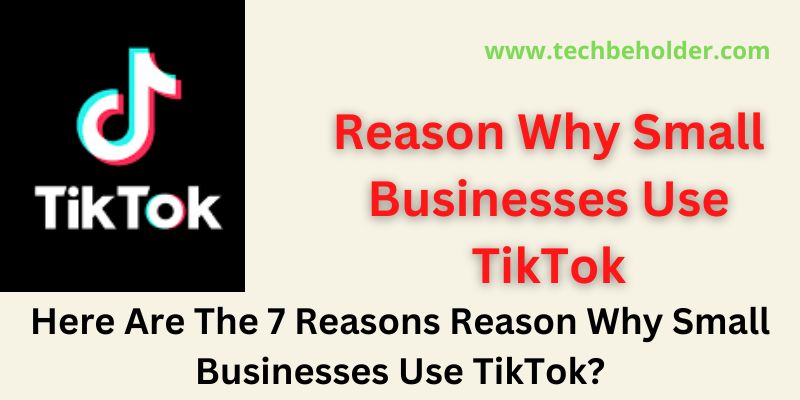 Reason Why Small Businesses Use TikTok